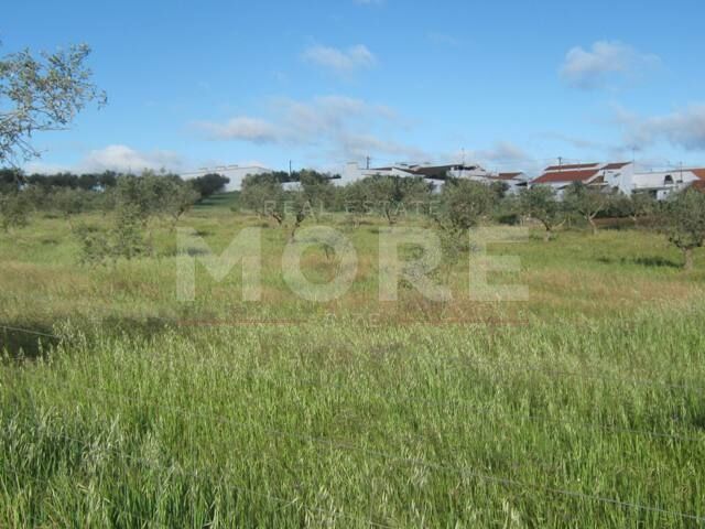 Terreno com 16019m2 à venda Portel - oliveiras