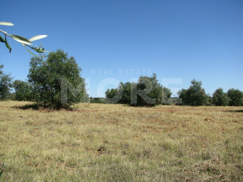 Land Rustic with 5000sqm Nossa Senhora de Machede Évora - construction viability