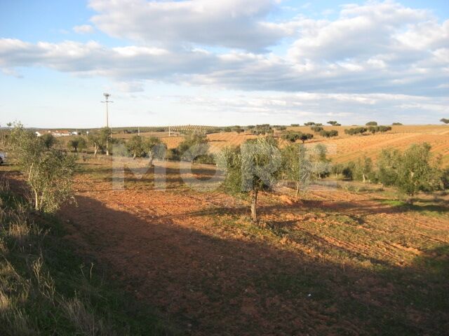 Terreno Rústico com 9500m2 Nossa Senhora de Machede Évora - sobreiros, oliveiras