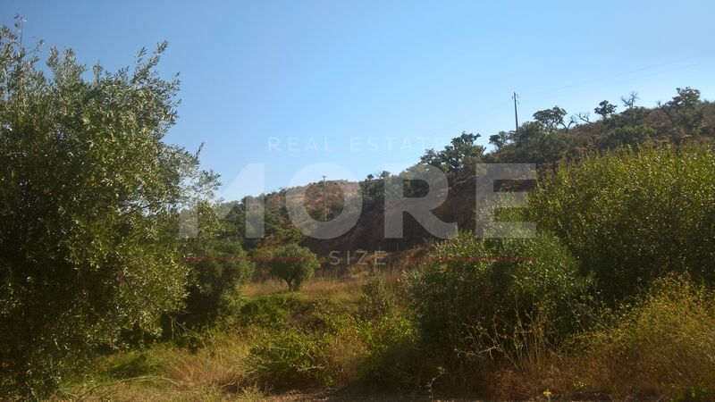 Quinta/Herdade V1 para venda Portel - bons acessos