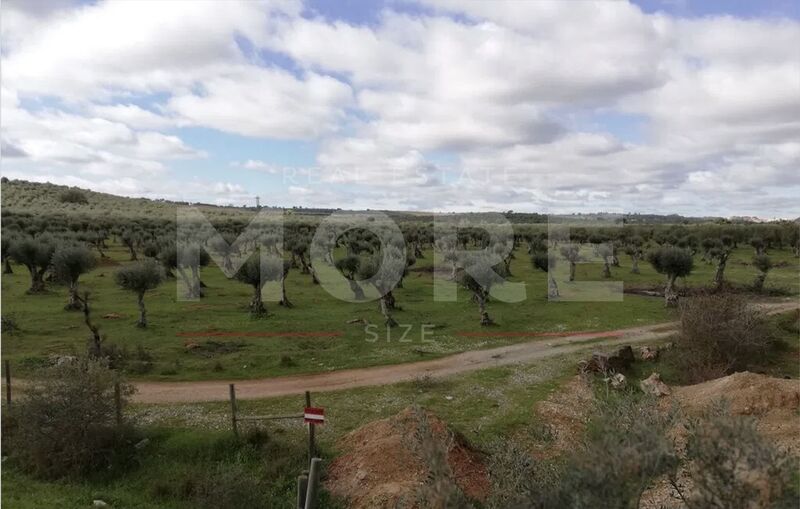 Terreno Urbano para construção Vila Viçosa para vender - excelentes acessos