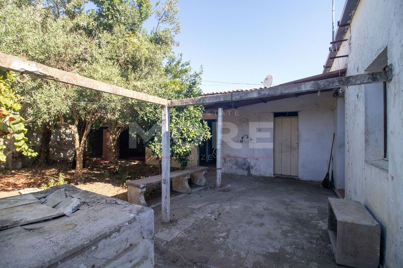 Moradia Térrea V4 Horta das Figueiras Évora para comprar - quintal