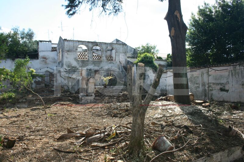 Ruine Vila Viçosa - garden, excellent location