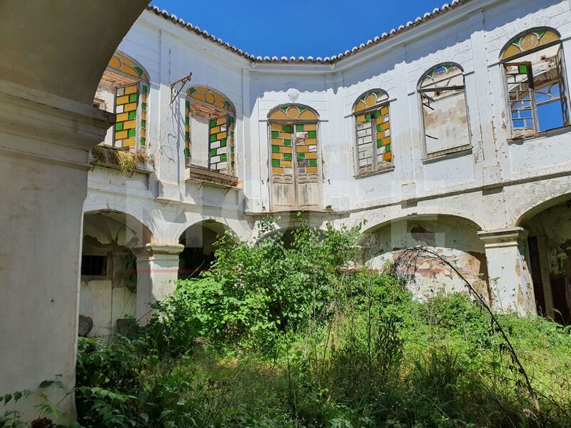 руины Vila Viçosa - сад, великолепное месторасположение