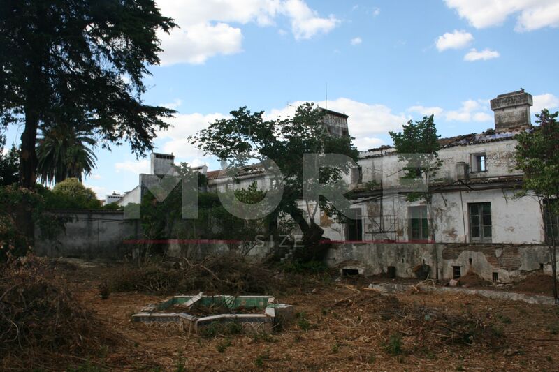 Ruine Vila Viçosa - garden, excellent location