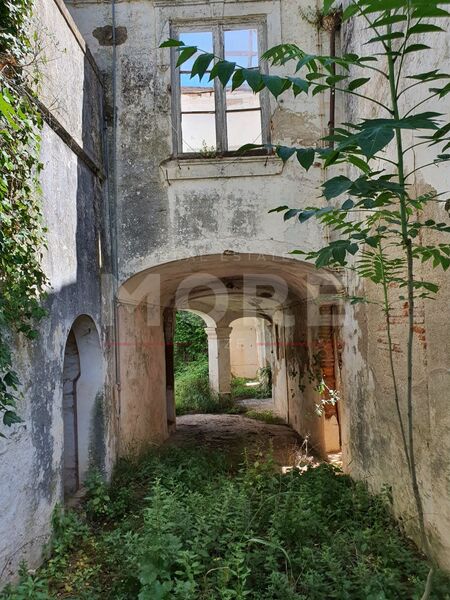 Ruine Vila Viçosa - garden, excellent location
