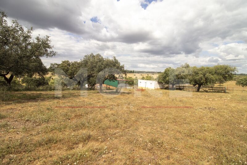 Herdade V2 Alvito - árvores de fruto, piscina, furo, portão automático, tanque, isolamento térmico