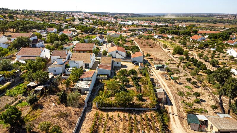 Quinta Mora - furo, água, tanque