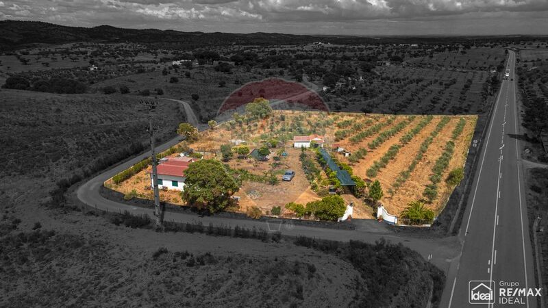 Terreno Agrícola com 6804m2 Portel - tanque, garagem, furo, oliveiras, árvores de fruto, laranjeiras