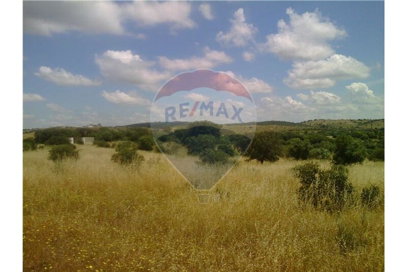 Land with 36250sqm São Pedro Terena Alandroal - construction viability, water, water hole