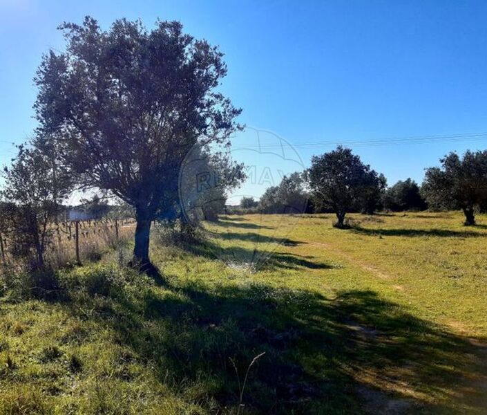 Terreno com 10000m2 Corval Reguengos de Monsaraz - bons acessos