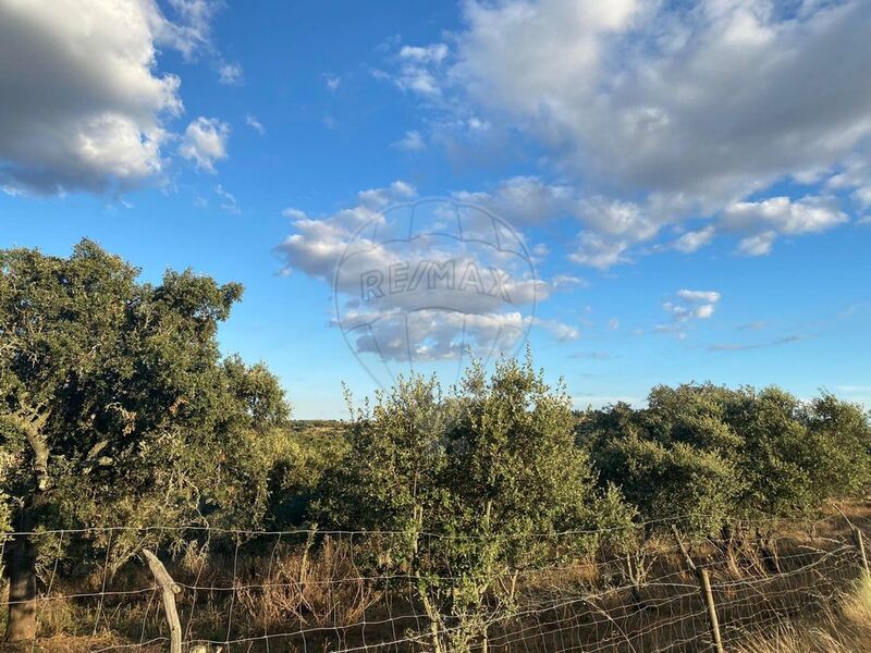 Terreno Agrícola com 2m2 Évora