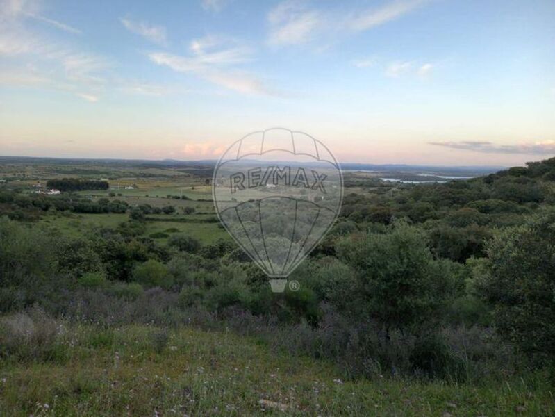 Terreno Rústico com 13750m2 Monsaraz Reguengos de Monsaraz