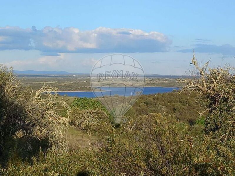 Terreno Rústico com 27250m2 Monsaraz Reguengos de Monsaraz - água