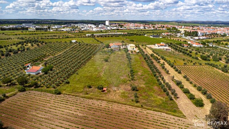 Land Rustic with 10150sqm Reguengos de Monsaraz - construction viability