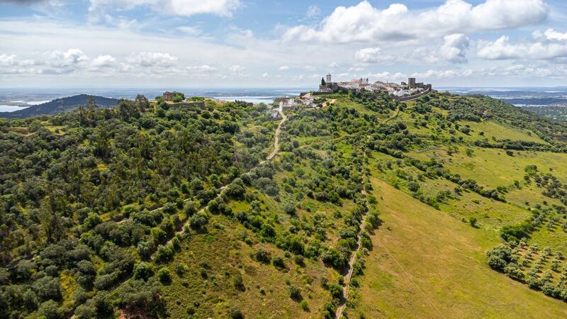 Terreno Agrícola com 10000m2 Monsaraz Reguengos de Monsaraz - água