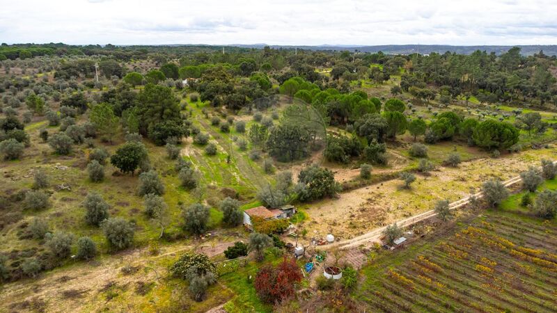 Land Agricultural with 7500sqm Cabeção Mora - water, well, tank
