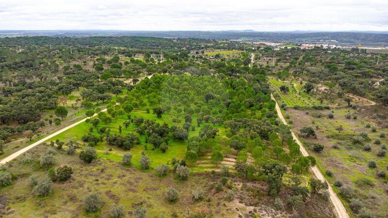 Terreno Rústico com 14750m2 Cabeção Mora