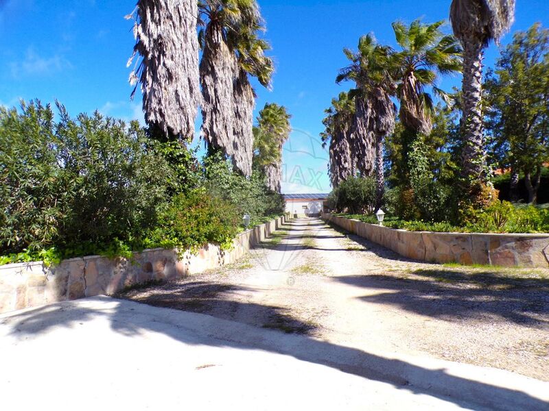 Farm Vidigueira - tank, swimming pool, mains water, automatic irrigation system, olive trees, water hole, fireplace, garden, equipped, well, orange trees, water, solar panels, barbecue, kitchen, air conditioning, solar panels