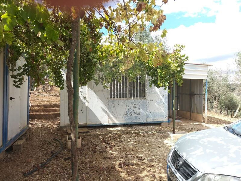 Terreno com 17143m2 Vila Viçosa - oliveiras, água, árvores de fruto, furo