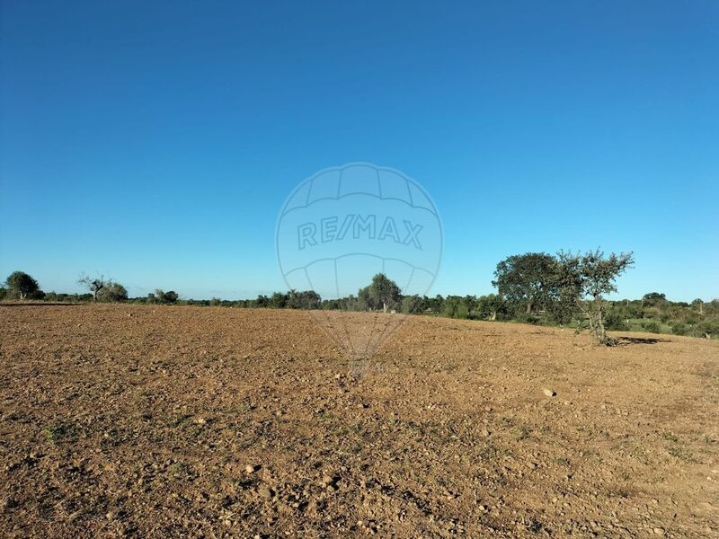 Land Rustic with 20052sqm Vimieiro Arraiolos - arable crop, electricity, olive trees, water, water hole