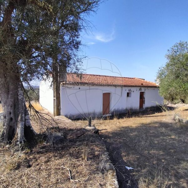 Farm 3 bedrooms Figueira e Barros Avis - electricity, water