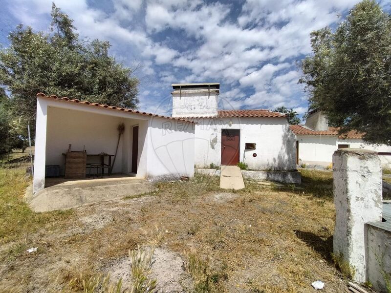 Farm 2 bedrooms Figueira e Barros Avis - electricity, water, fruit trees, well, olive trees