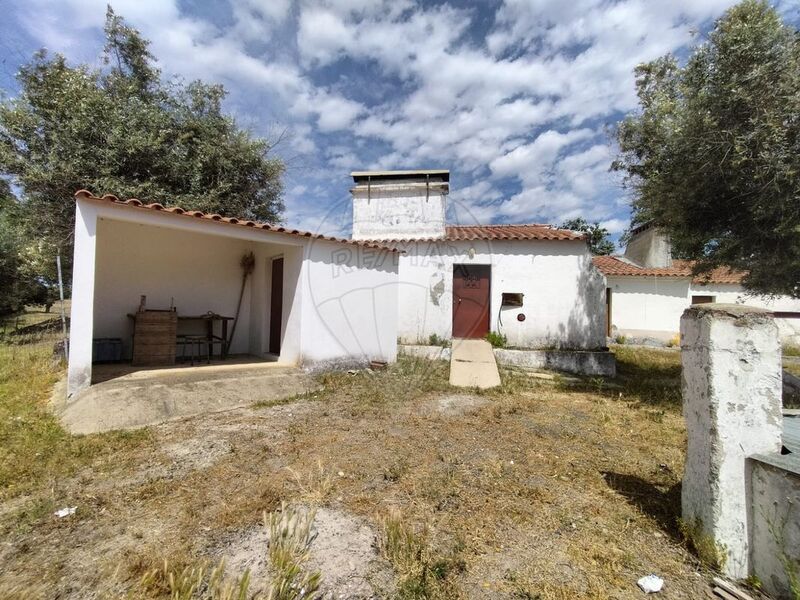 Farm V2 Figueira e Barros Avis - electricity, water, fruit trees, well, olive trees