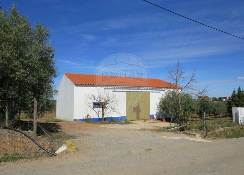 Terreno Agrícola com 10750m2 Monsaraz Reguengos de Monsaraz - furo, bons acessos, água, árvores de fruto, oliveiras