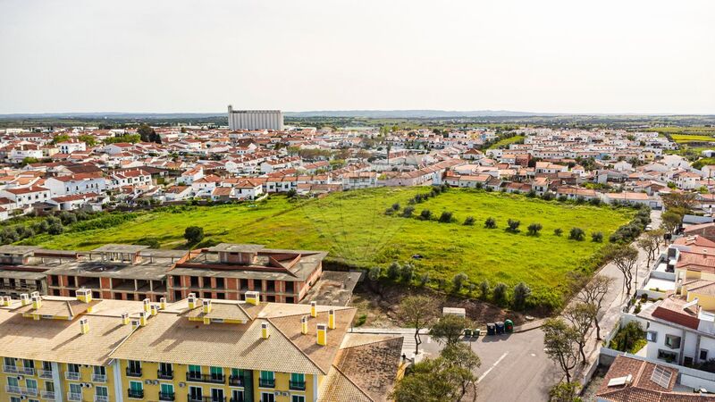 Terreno Urbano com 15000m2 Reguengos de Monsaraz - oliveiras