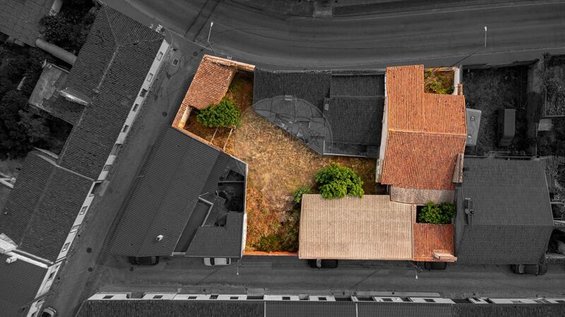 House V4 Typical Vidigueira - excellent location, backyard
