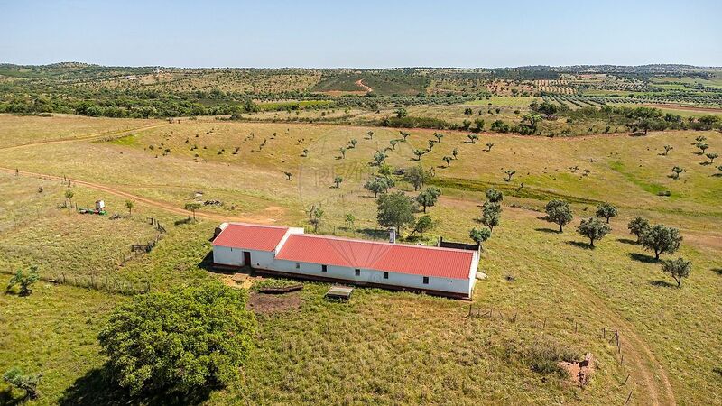 House/Villa in the field V2 Montoito Redondo