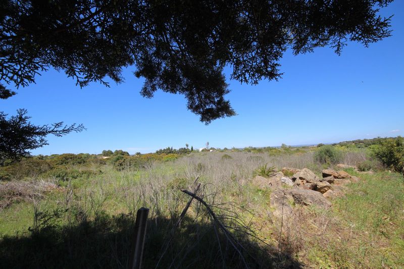 Land Rustic flat Montinhos da Luz Lagos - fruit trees