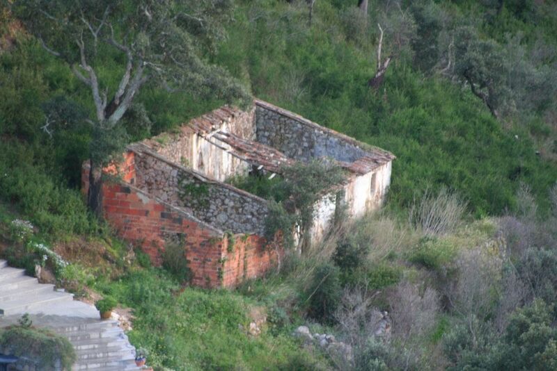 Farm V2 with ruin Monchique - cork oaks, water