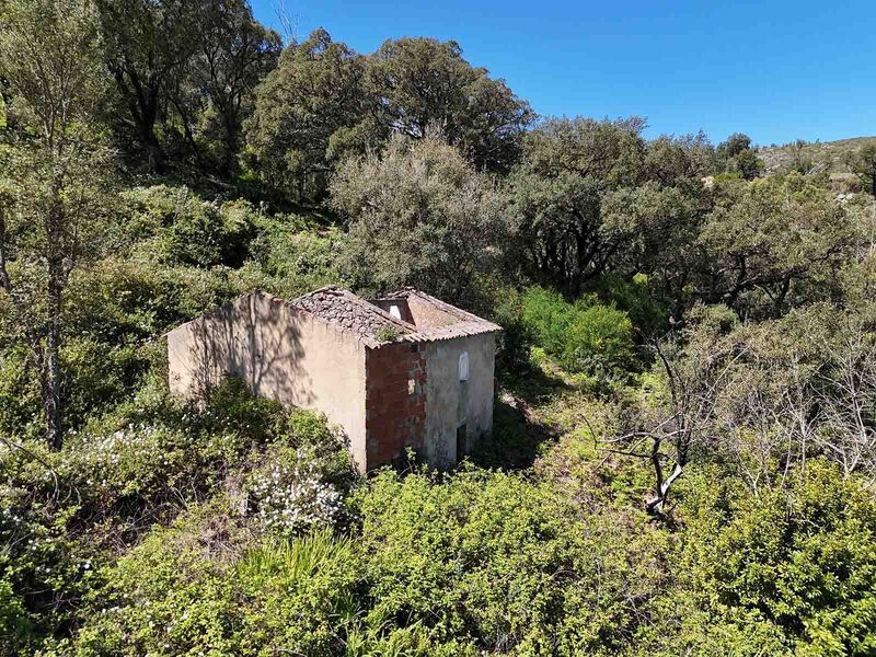 Quinta V0 Alferce Monchique - cultura arvense, luz, tanque, água, oliveiras