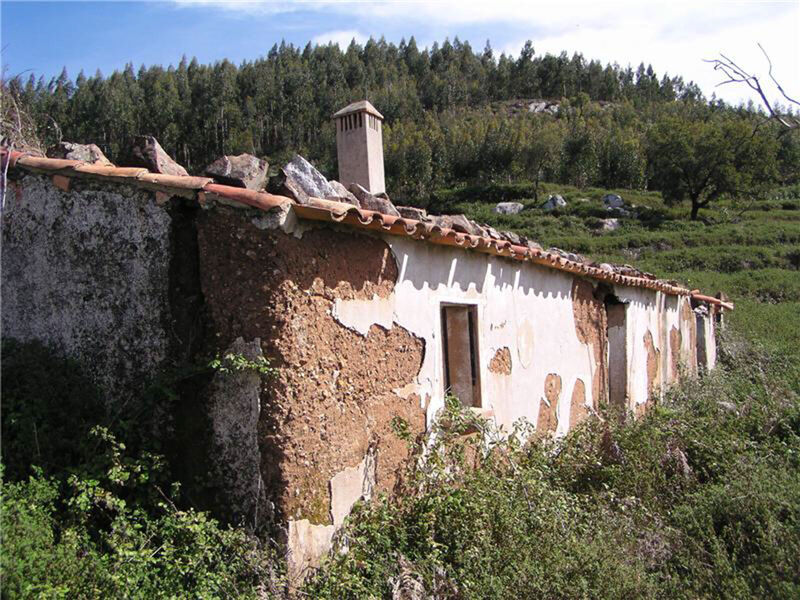 Farm 0 bedrooms center Monchique - arable crop, olive trees