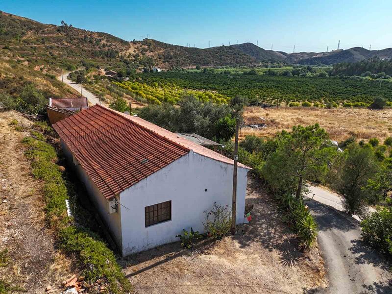 Farm 3 bedrooms Casais de Odelouca Silves - fruit trees, orange trees, olive trees, well