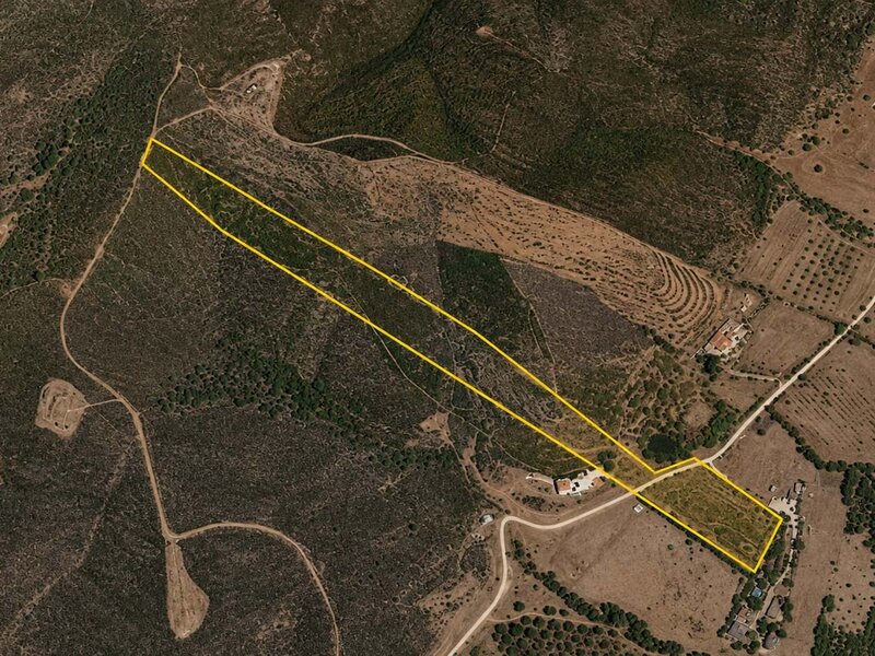 Land Agricultural with 24320sqm Mexilhoeira Grande Portimão - easy access, quiet area, electricity