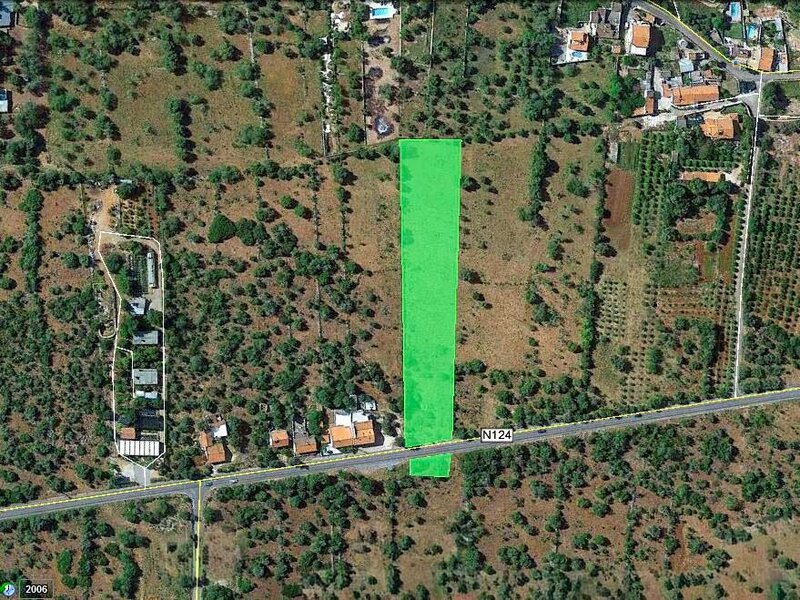 Land Agricultural with 5480sqm Cumeada São Bartolomeu de Messines Silves - olive trees, easy access, electricity