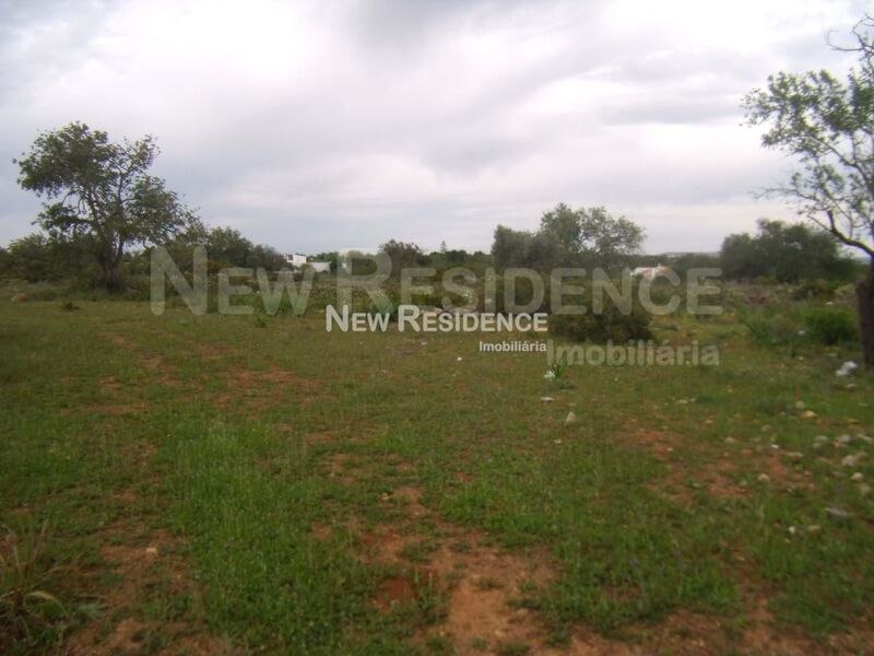 Terreno Agrícola com 8000m2 Albufeira Paderne - bons acessos, oliveiras, árvores de fruto