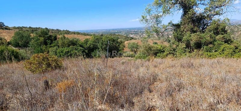 Land with 4120sqm A 10km de Albufeira Paderne - , ,