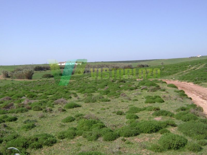 Terreno Rústico com 5000m2 Vale Santo Sagres Vila do Bispo - luz, vista mar, água, poço