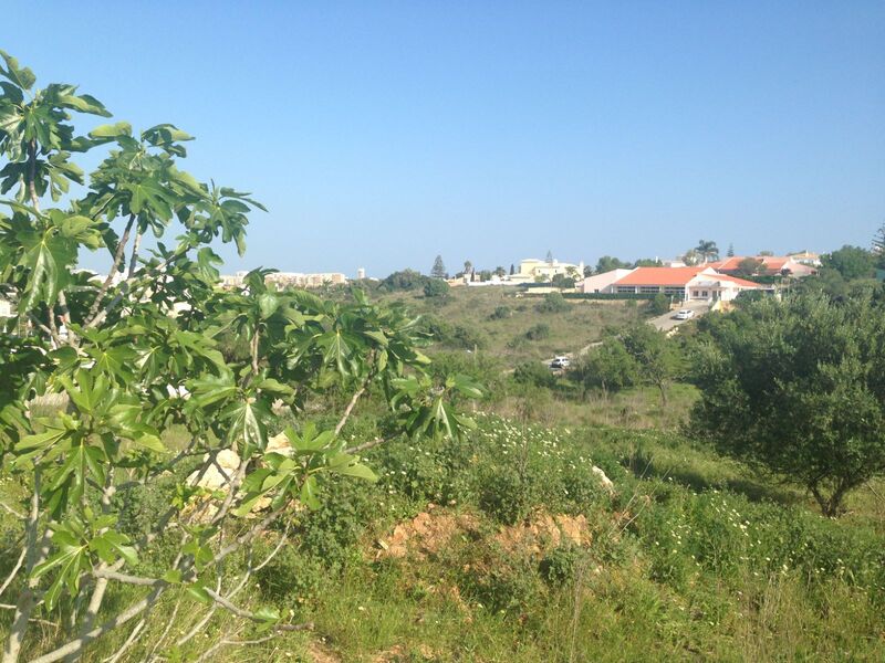 Plot with 2700sqm Atalaia Santa Maria Lagos - very quiet area