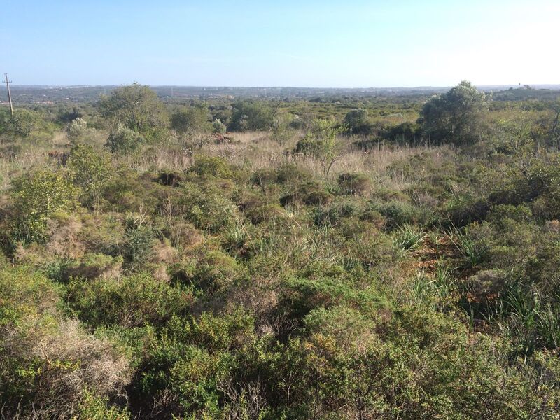 Land Rustic with 10520sqm Franqueira Silves - electricity, water, water hole