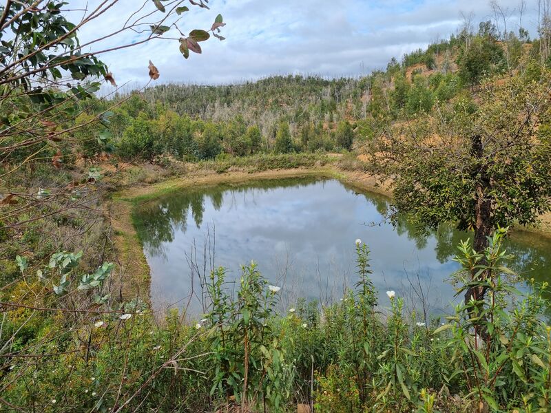 земля смешаный c 303382m2 Casais de Odelouca Silves