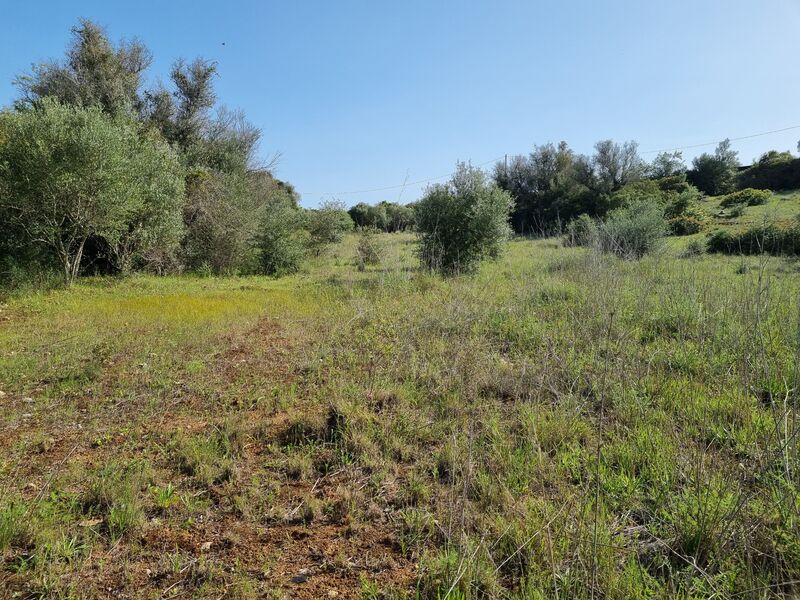 Land Alcantarilha Silves - ,