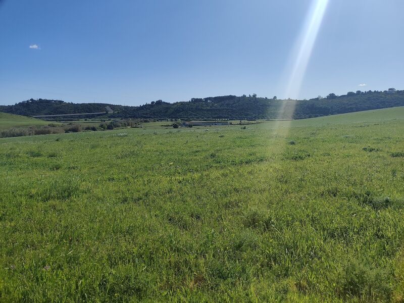 Terreno Rústico com 9200m2 Cotifo Bensafrim Lagos - água, luz