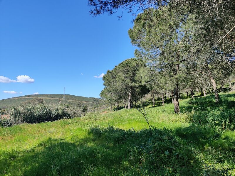 Terreno Rústico com 22680m2 Cotifo Bensafrim Lagos - água, luz, sobreiros