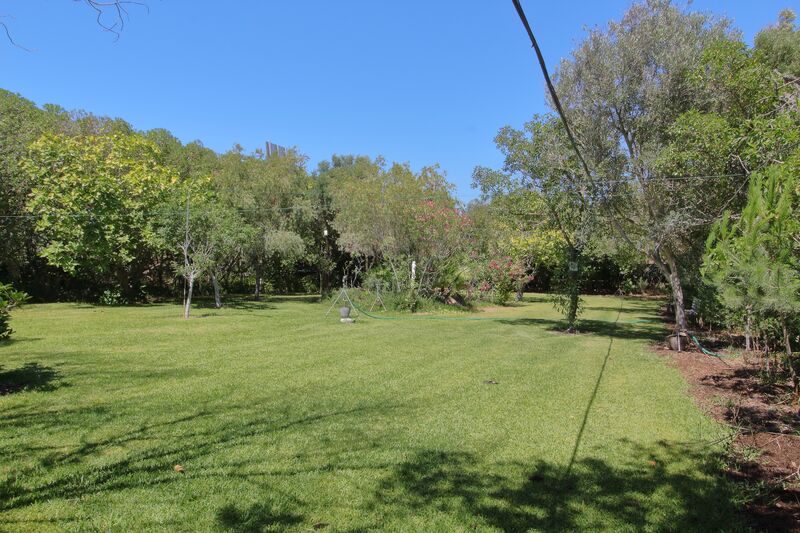 Terreno com 5000m2 Bensafrim Lagos - árvores de fruto, pessegueiros