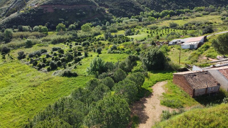 Land with 100000sqm Alferce Monchique - water